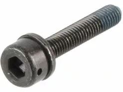 Shimano Befestigungsschrauben Für Scheibenbremsadapter Flat Mount Auf PM 9 Shimano Befestigungsschrauben Für Scheibenbremsadapter Flat Mount Auf PM -DMR BremsbelagVerkäufe 146661