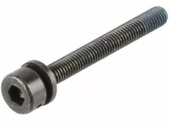 Shimano Befestigungsschrauben Für Scheibenbremsadapter Flat Mount Auf PM 11 Shimano Befestigungsschrauben Für Scheibenbremsadapter Flat Mount Auf PM -DMR BremsbelagVerkäufe 147125