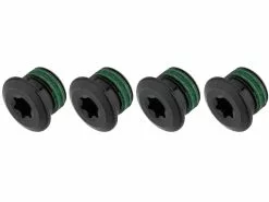 SRAM Kettenblattschrauben Für 4-Arm E-MTB Bosch / Fazua